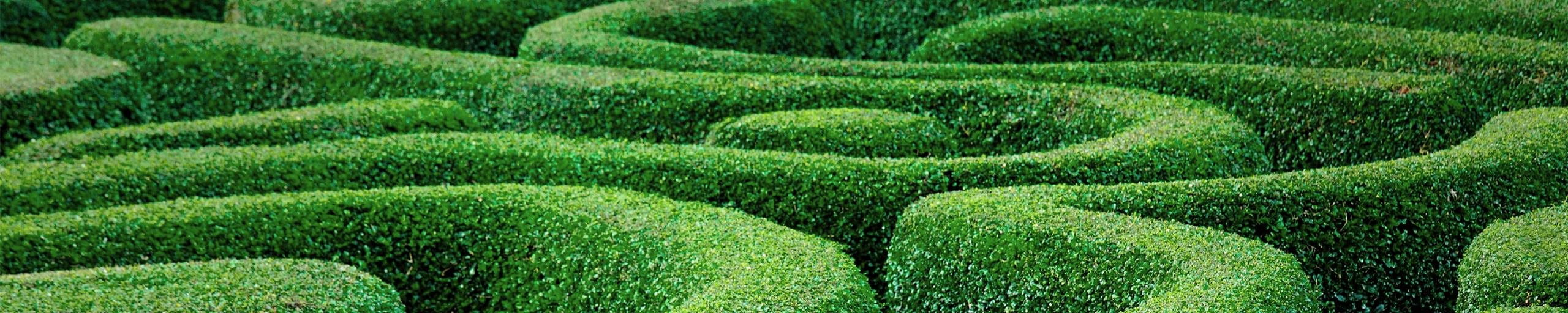 pair iphone to automobile