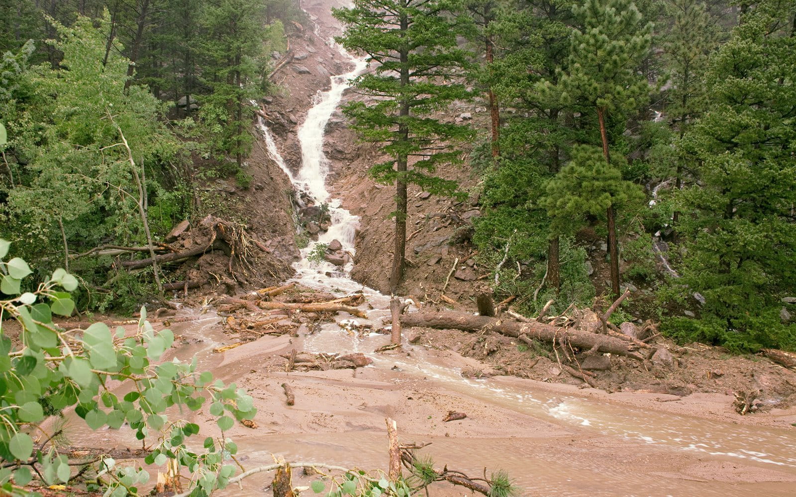 Debris Flow Zurich Switzerland debris-flow-zurich-switzerland