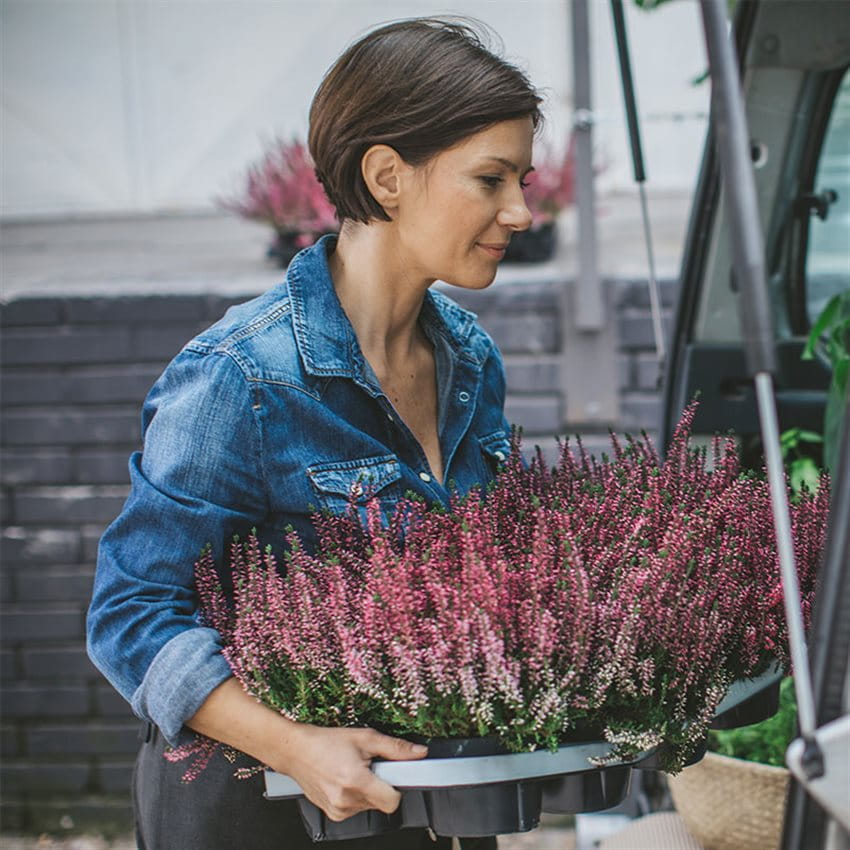 Assurance auto clientèle enpreprises Une femme porte des fleurs