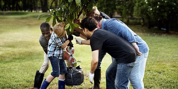 Des hommes de plusieurs générations plantent un arbre ensemble.