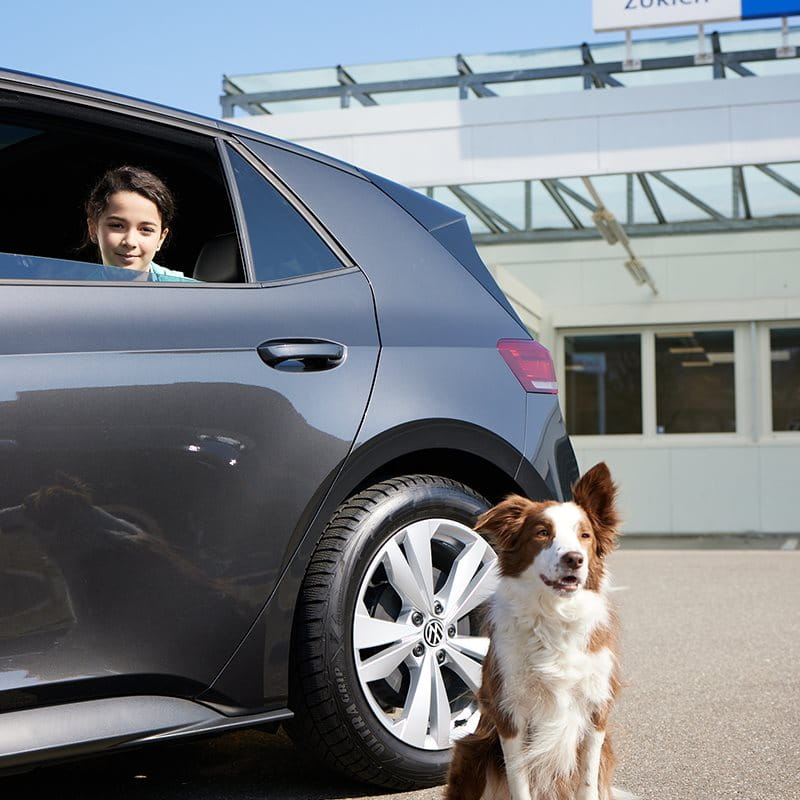 A child in the car with a dog