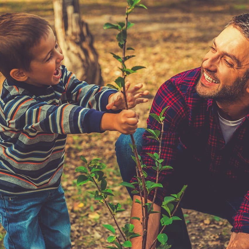 A child and an adult are planting a small tree together in the forest. A child and an adult are planting a small tree together in the forest.