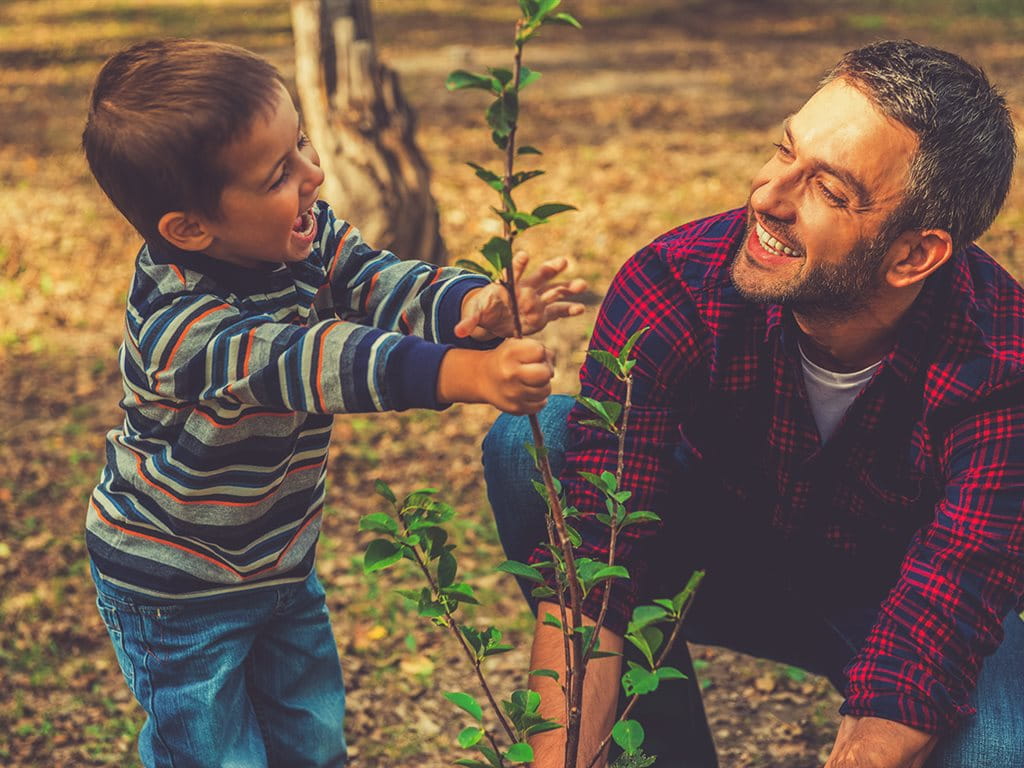 Un bambino e un adulto piantano insieme un piccolo albero nella foresta.