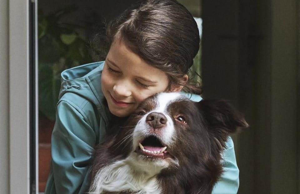 Maedchen Hund Maedchen Hund