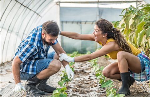 Homme et femme dans la serre Homme et femme dans la serre