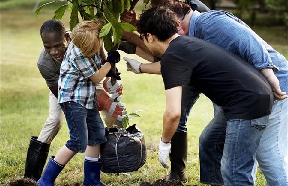 Eine Gruppe von Menschen pflanzt einen Baum in einem Garten. Eine Gruppe von Menschen pflanzt einen Baum in einem Garten.