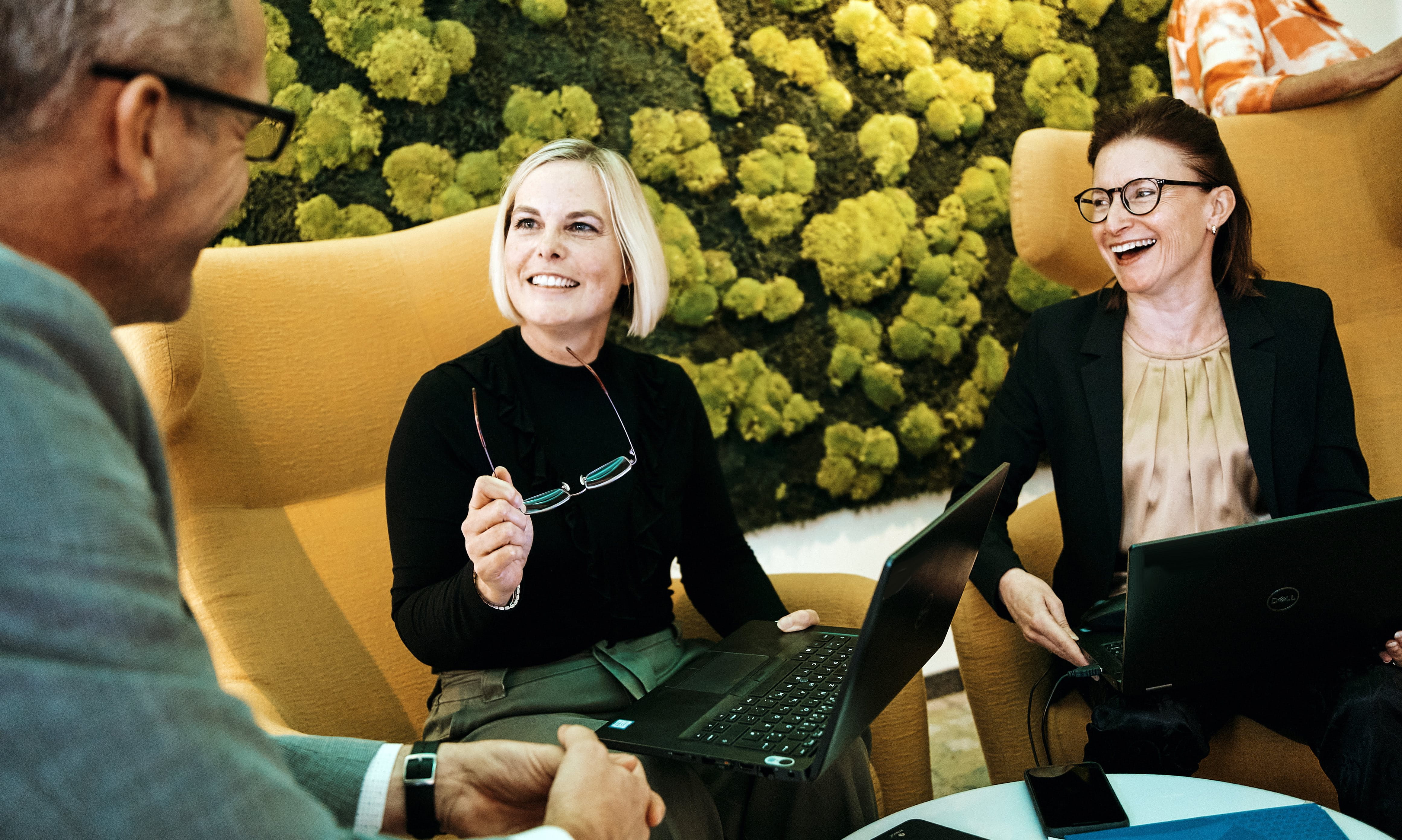 Three people are sitting in comfortable yellow chairs in front of a green plant wall, collaborating on laptops.