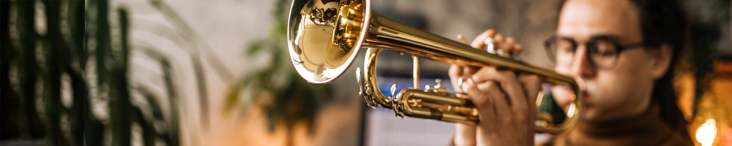 Auch Musikinstrumente sind Wertsachen