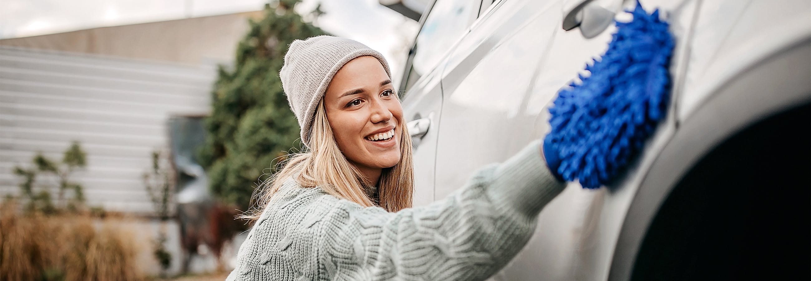 Auto Reinigung Auto Reinigung