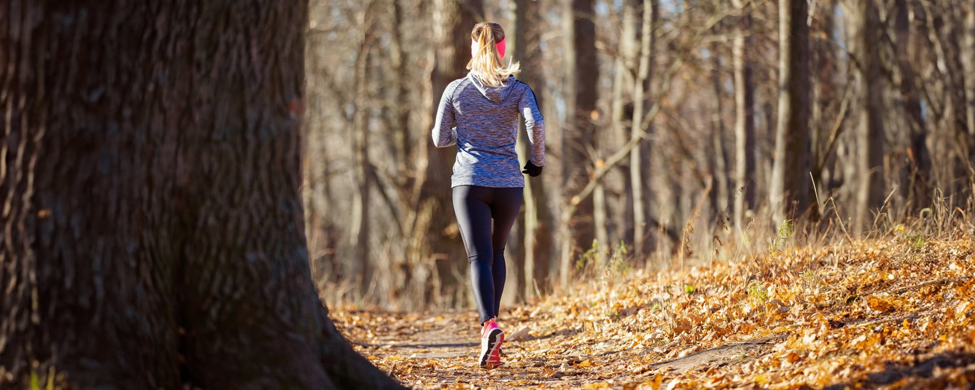 femme faisant du jogging dans la forêt femme faisant du jogging dans la forêt