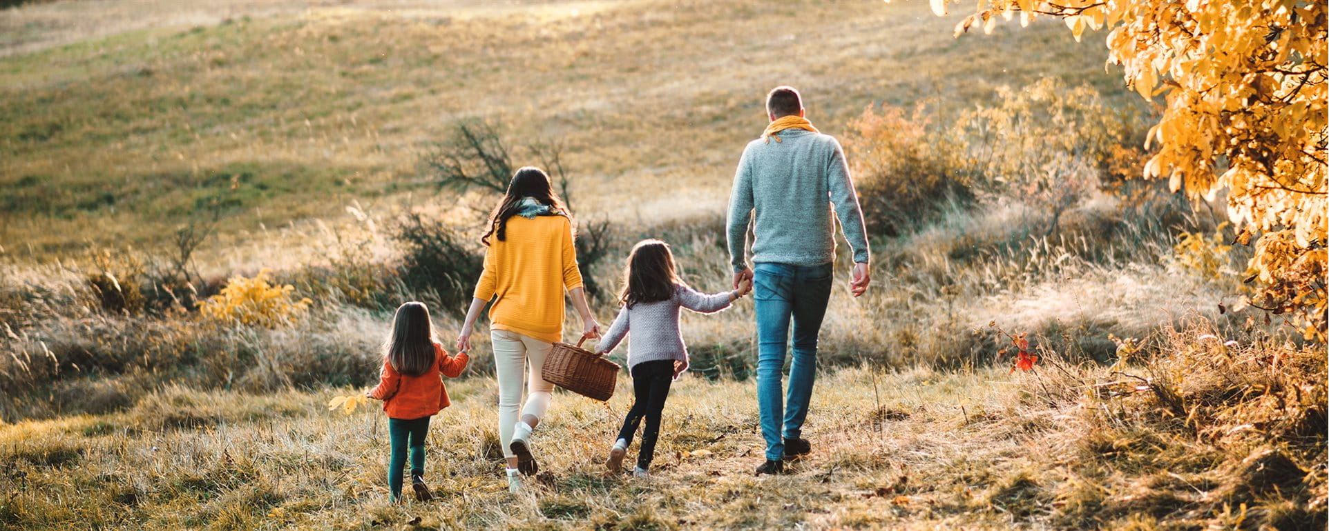 La famiglia vaga per la campagna La famiglia vaga per la campagna