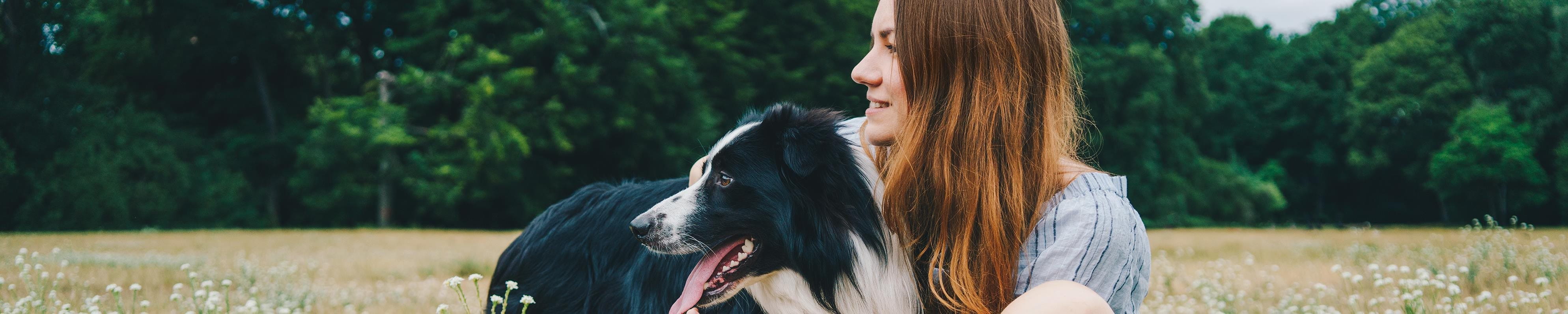 Young woman playing with a Border Collie dog in the park