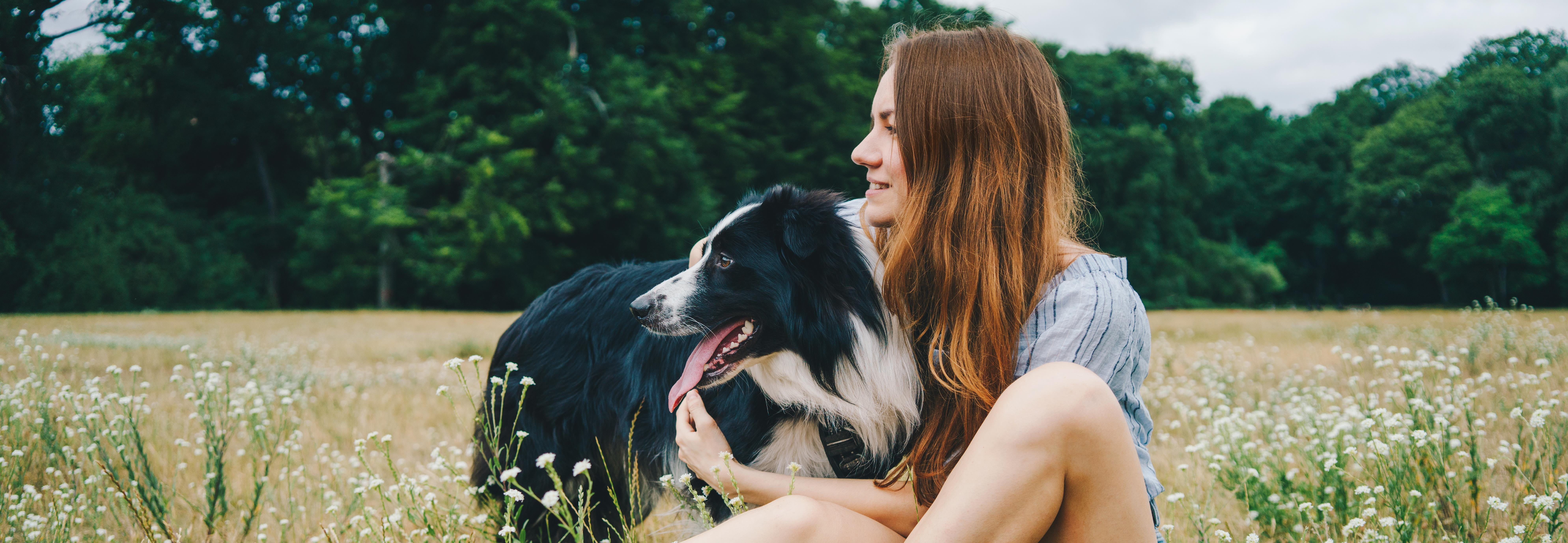 Young woman playing with a Border Collie dog in the park