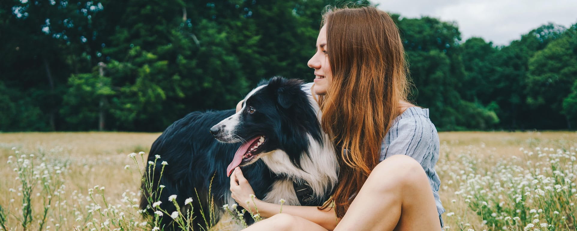 Giovane donna che gioca con un cane Border Collie nel parco Giovane donna che gioca con un cane Border Collie nel parco