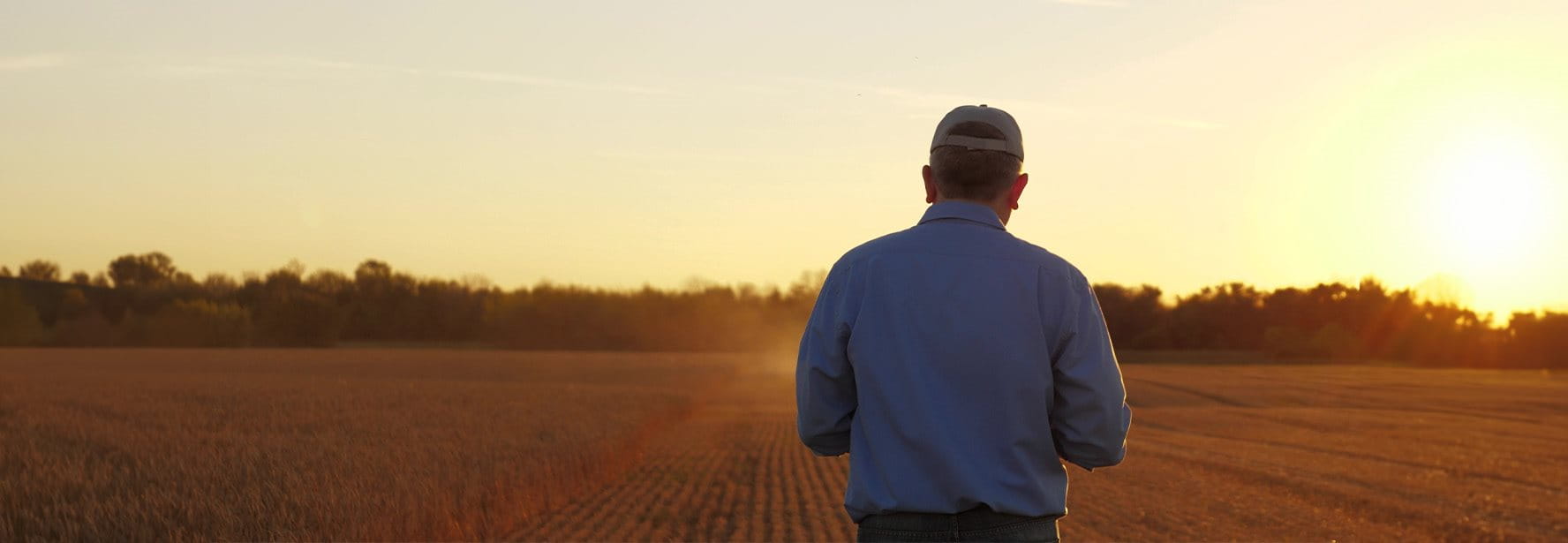 Ein Mann steht an einem Feldrand zu einer stimmungsvollen Tageszeit