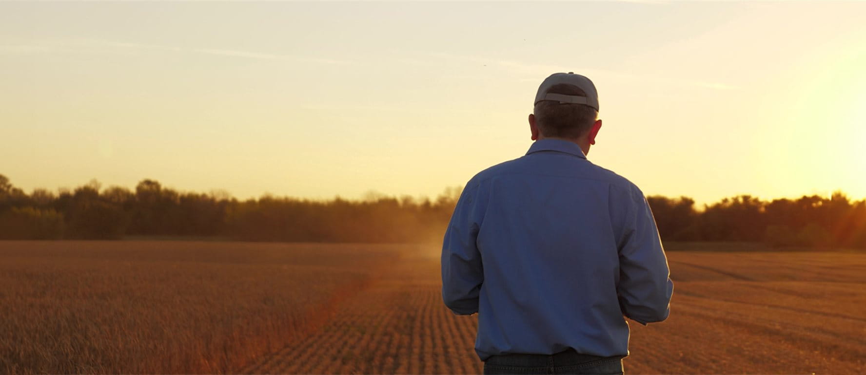 Ein Mann steht an einem Feldrand zu einer stimmungsvollen Tageszeit Ein Mann steht an einem Feldrand zu einer stimmungsvollen Tageszeit