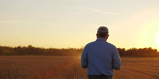 A man stands at the edge of a field at an atmospheric time of day