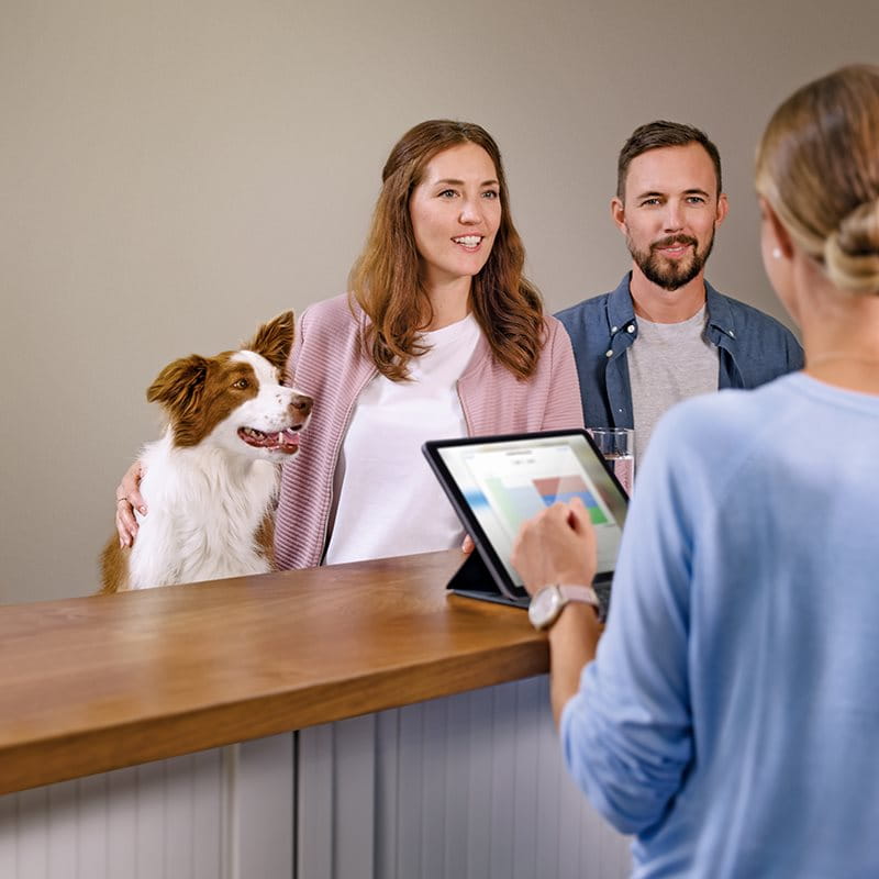 Woman and man with dog in pension consultation