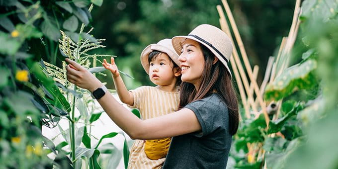 Une femme montre un arbre à un enfant Une femme montre un arbre à un enfant