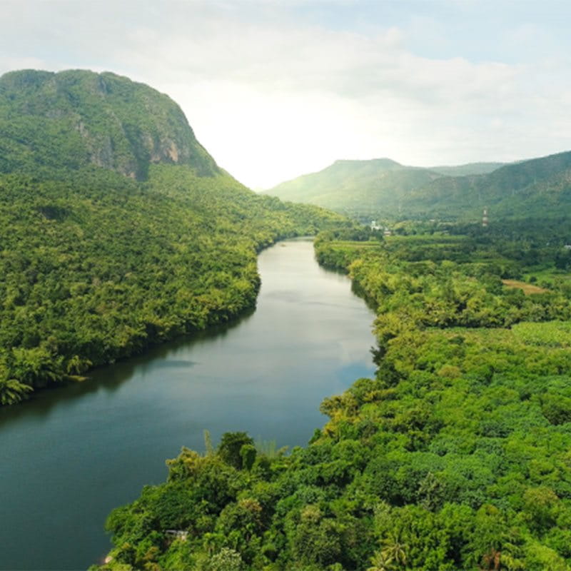 Un fiume nella foresta pluviale