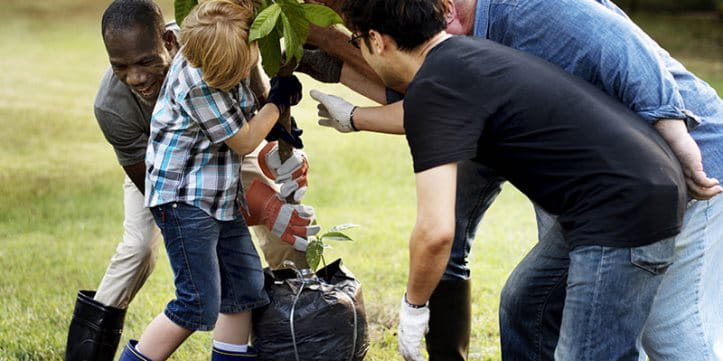 Des hommes de plusieurs générations plantent un arbre ensemble. Des hommes de plusieurs générations plantent un arbre ensemble.